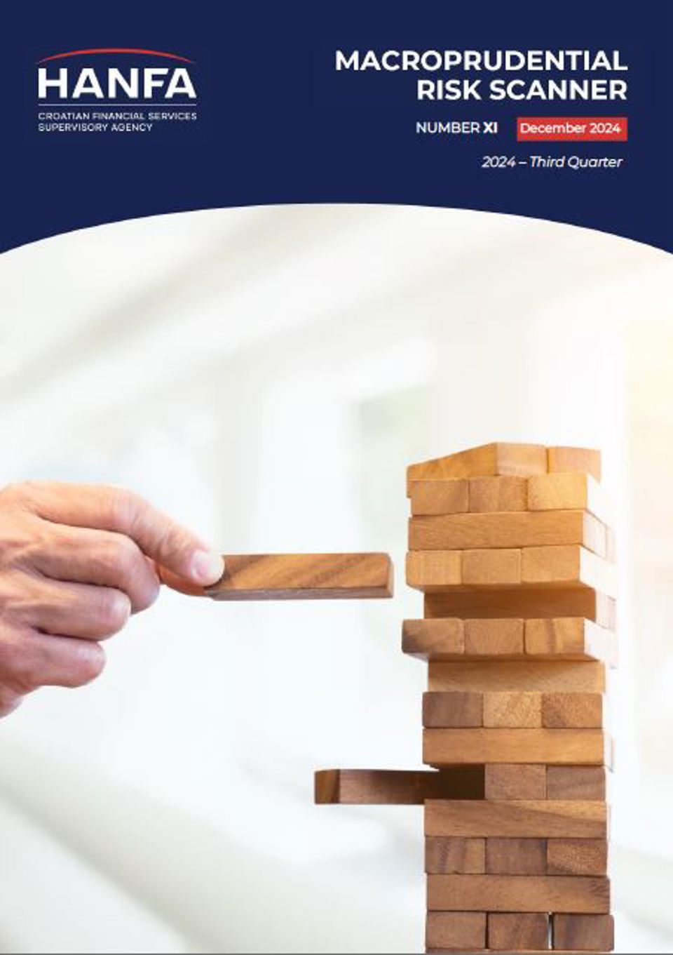 Macroprudential Risk Scanner 11