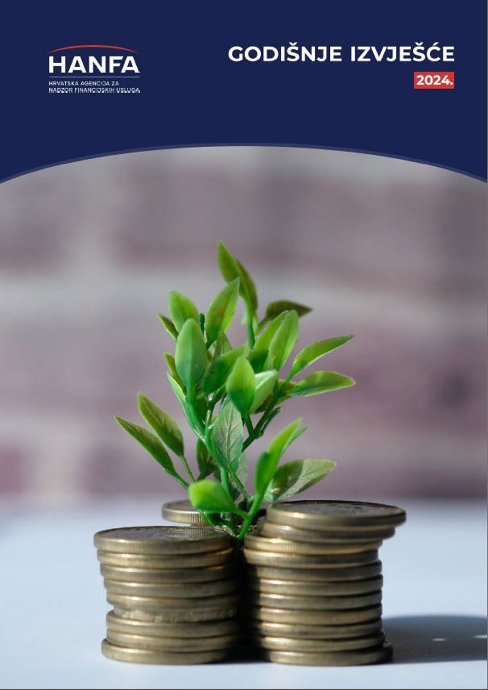 Godišnje Izvješće 2024